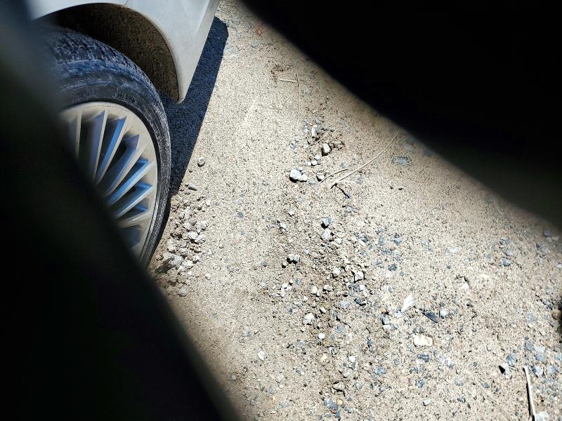 55019286 :رقم المزاد ، 4T1BZ1FBXKU037576 vin ، 2019 Toyota Avalon مزاد بيع