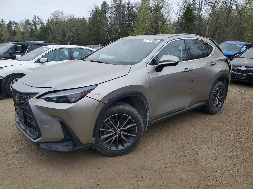 Продаж на аукціоні авто 2022 Lexus Nx, vin: JTJGKCEZ1N5002042, номер лоту: 51333296