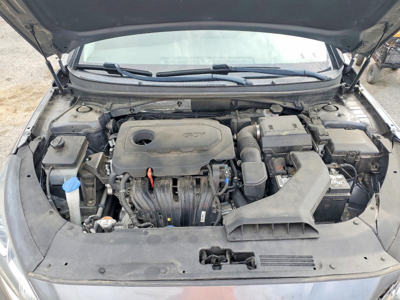 2019 Hyundai Sonata მანქანა იყიდება აუქციონზე, vin: 5NPE24AF9KH788633, აუქციონის ნომერი: 53534166