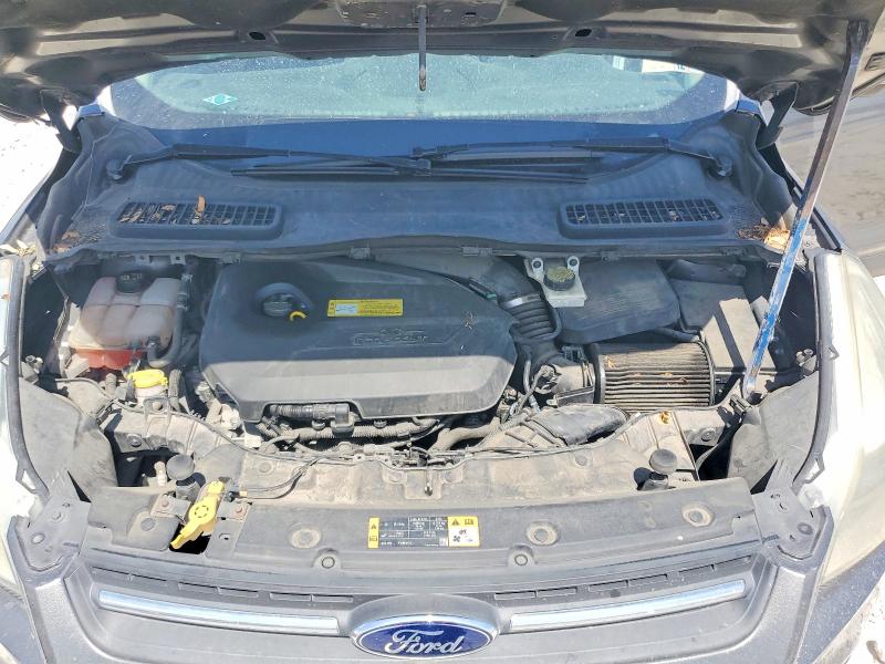 Aukcja sprzedaży 2014 Ford Escape, vin: 1FMCU0GX7EUA59904, numer aukcji: 53935696