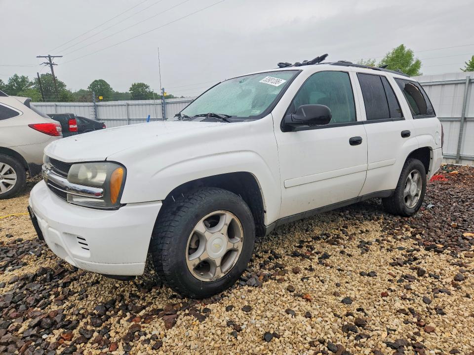 Auction sale of the 2008 Chevrolet Trailblazer, vin: 1GNDT13S682208712, lot number: 53981286