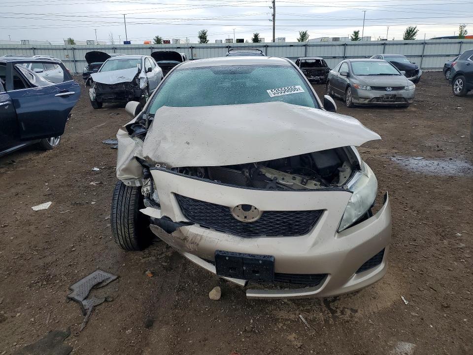 53556866 :رقم المزاد ، 2T1BU40E89C171906 vin ، 2009 Toyota Corolla مزاد بيع
