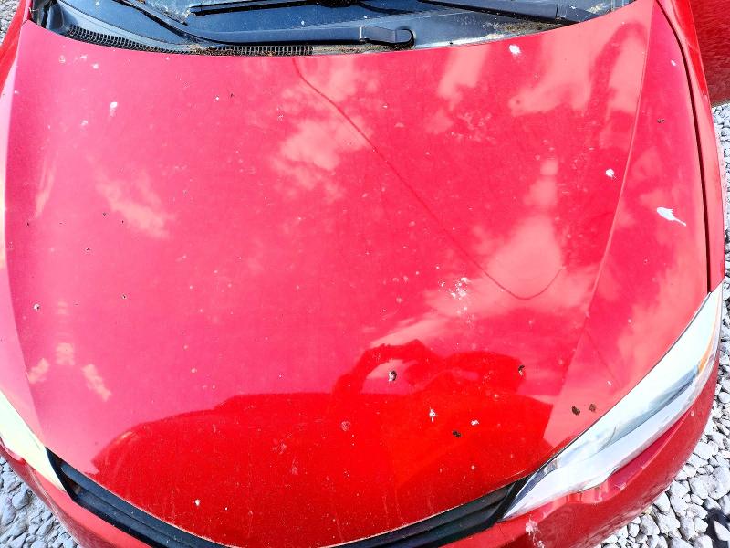 Продажа на аукционе авто 2014 Toyota Corolla, vin: 2T1BURHE5EC017360, номер лота: 53186706