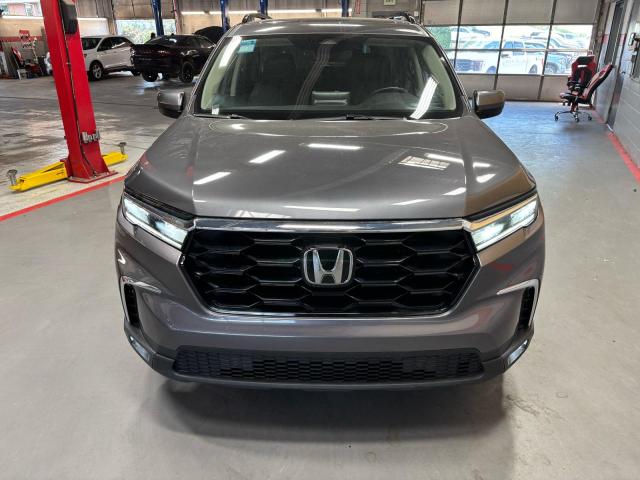 Продаж на аукціоні авто 2025 Honda Pilot, vin: 5FNYG1H70SB011350, номер лоту: 53663706