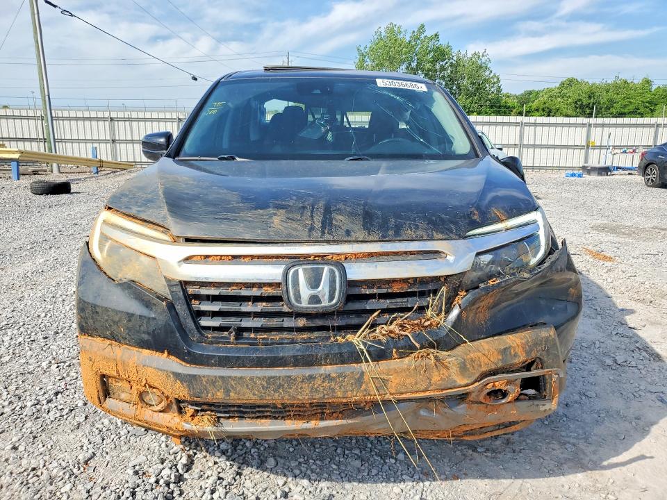 Auction sale of the 2020 Honda Ridgeline, vin: 5FPYK3F74LB009641, lot number: 53036686