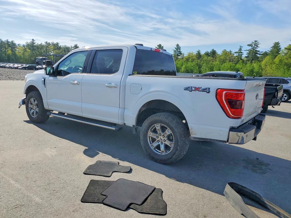 Продаж на аукціоні авто 2021 Ford F150, vin: 1FTEW1EP5MFB66923, номер лоту: 53705116