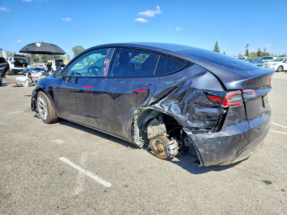 Продаж на аукціоні авто 2024 Tesla Model Y, vin: 7SAYGAEEXRF028284, номер лоту: 53719886