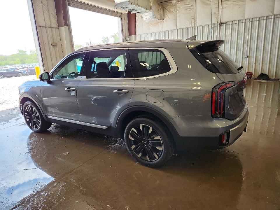 2024 Kia Telluride მანქანა იყიდება აუქციონზე, vin: 5XYP5DGC7RG482481, აუქციონის ნომერი: 54078056