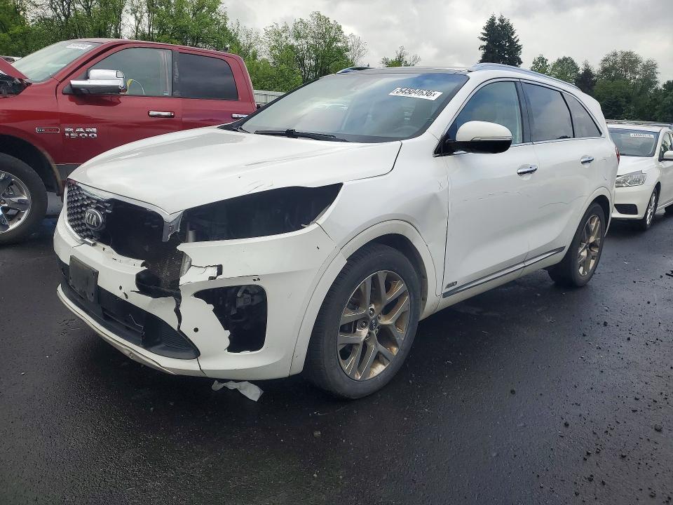 54504636 :رقم المزاد ، 5XYPKDA54KG522900 vin ، 2019 Kia Sorento مزاد بيع
