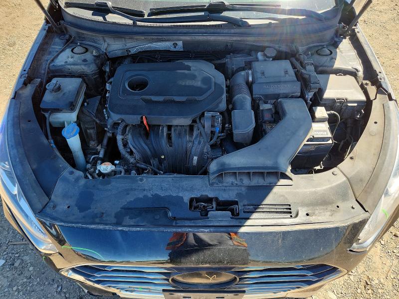 Продаж на аукціоні авто 2019 Hyundai Sonata, vin: 5NPE24AF5KH736383, номер лоту: 53759496