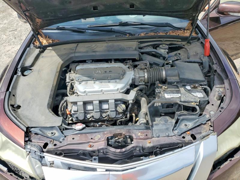 Продажа на аукционе авто 2009 Acura Tl, vin: 19UUA96599A005583, номер лота: 55146836