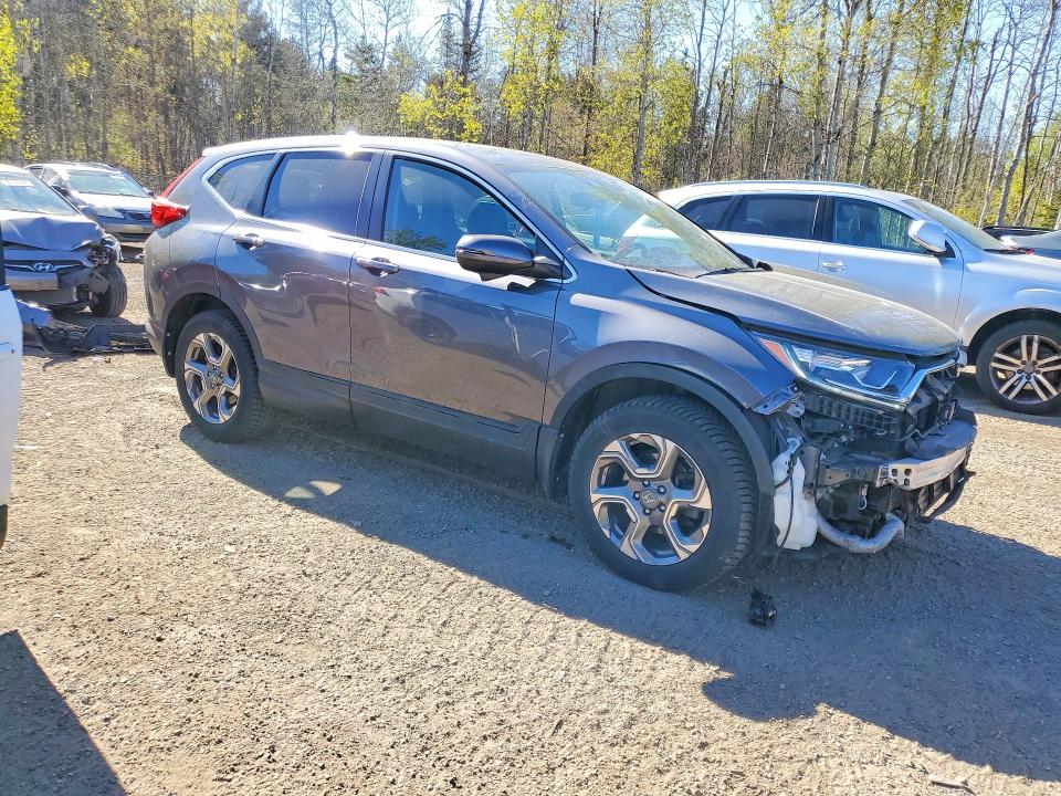 53282466 :رقم المزاد ، 2HKRW2H51KH126293 vin ، 2019 Honda Cr-v مزاد بيع