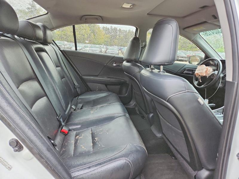 53024126 :رقم المزاد ، 1HGCR2F56DA243640 vin ، 2013 Honda Accord مزاد بيع