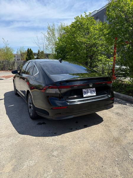 2023 Honda Accord მანქანა იყიდება აუქციონზე, vin: 1HGCY1F35PA800683, აუქციონის ნომერი: 54668636