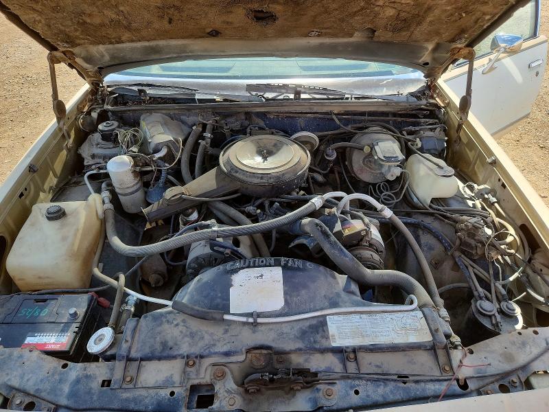 Продаж на аукціоні авто 1981 Chevrolet Malibu, vin: 2G1AW69J5B1437073, номер лоту: 55044156