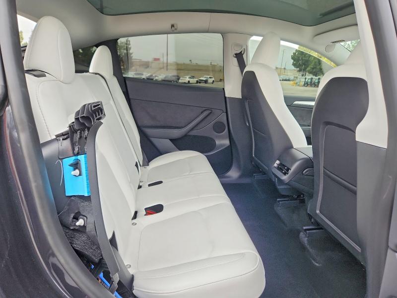 Продаж на аукціоні авто 2024 Tesla Model Y, vin: 7SAYGDEF3RF024491, номер лоту: 53941436