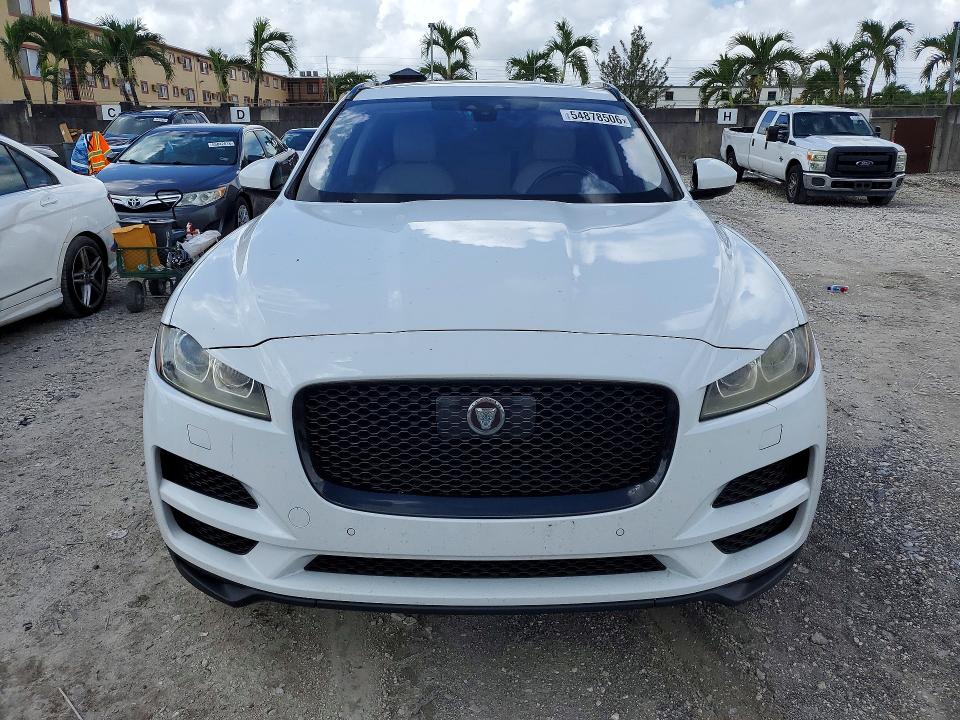 Продажа на аукционе авто 2019 Jaguar F-pace, vin: SADCK2FX6KA367431, номер лота: 54878506