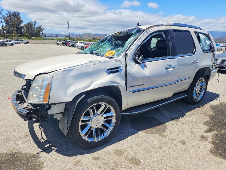 Auction sale of the 2010 Cadillac Escalade, vin: 1GYUKBEF3AR211866, lot number: 55609486