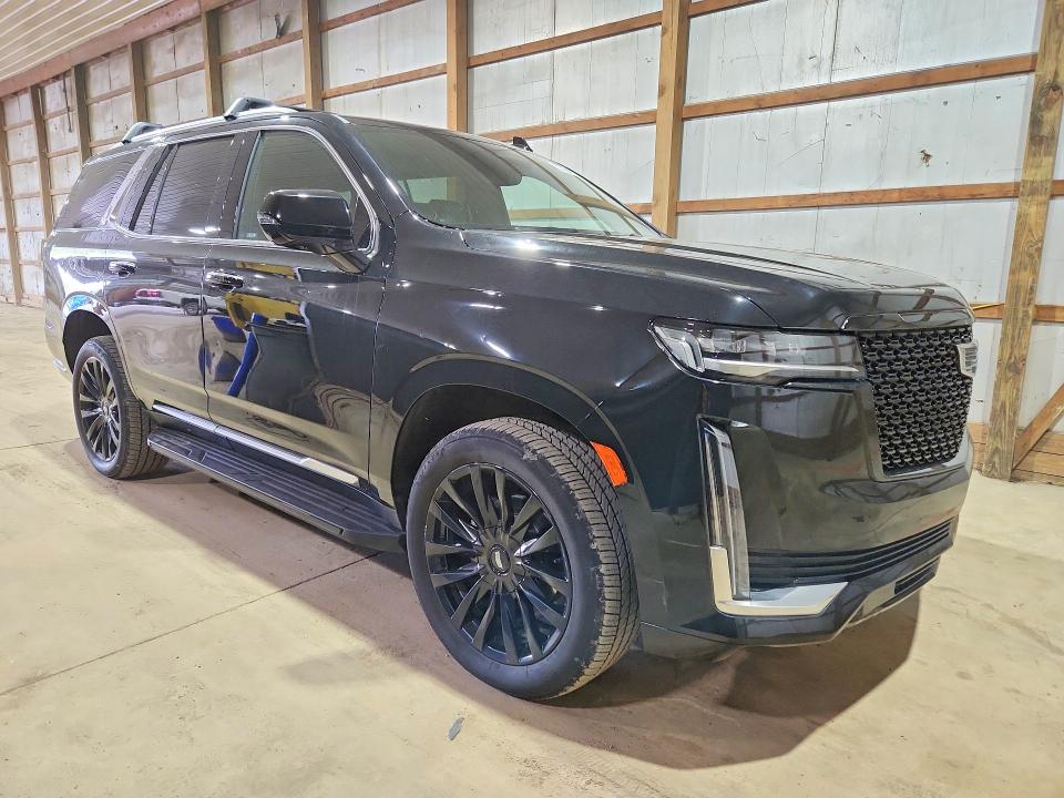 2023 Cadillac Escalade მანქანა იყიდება აუქციონზე, vin: 1GYS4BKL9PR564682, აუქციონის ნომერი: 53454256