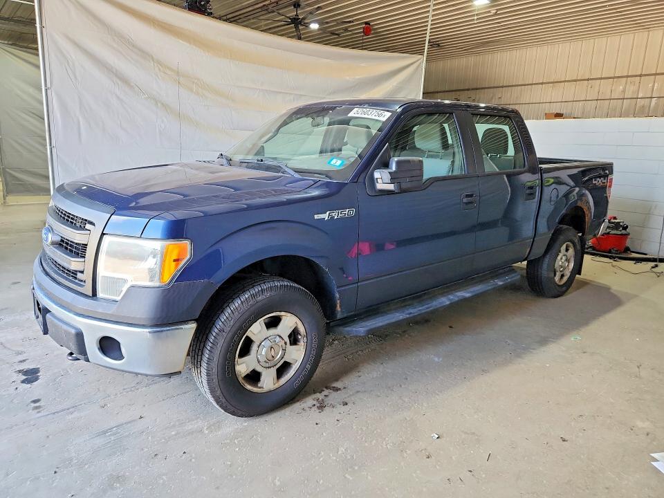52603756 :رقم المزاد ، 1FTFW1EF0DKD12163 vin ، 2013 Ford F-150 مزاد بيع