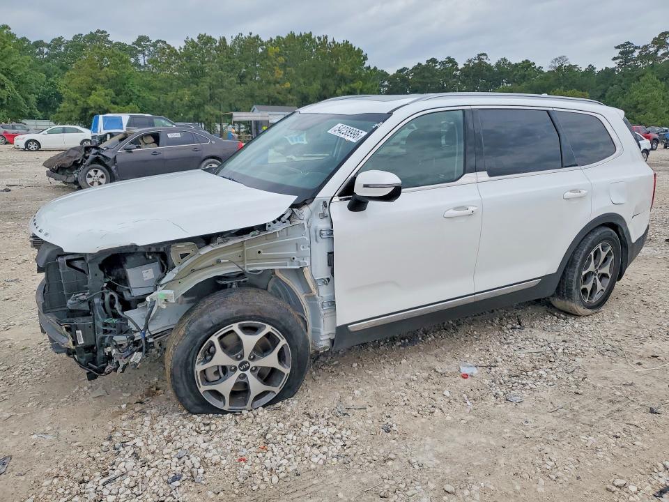 Auction sale of the 2020 Kia Telluride, vin: 5XYP34HC5LG026913, lot number: 54238996