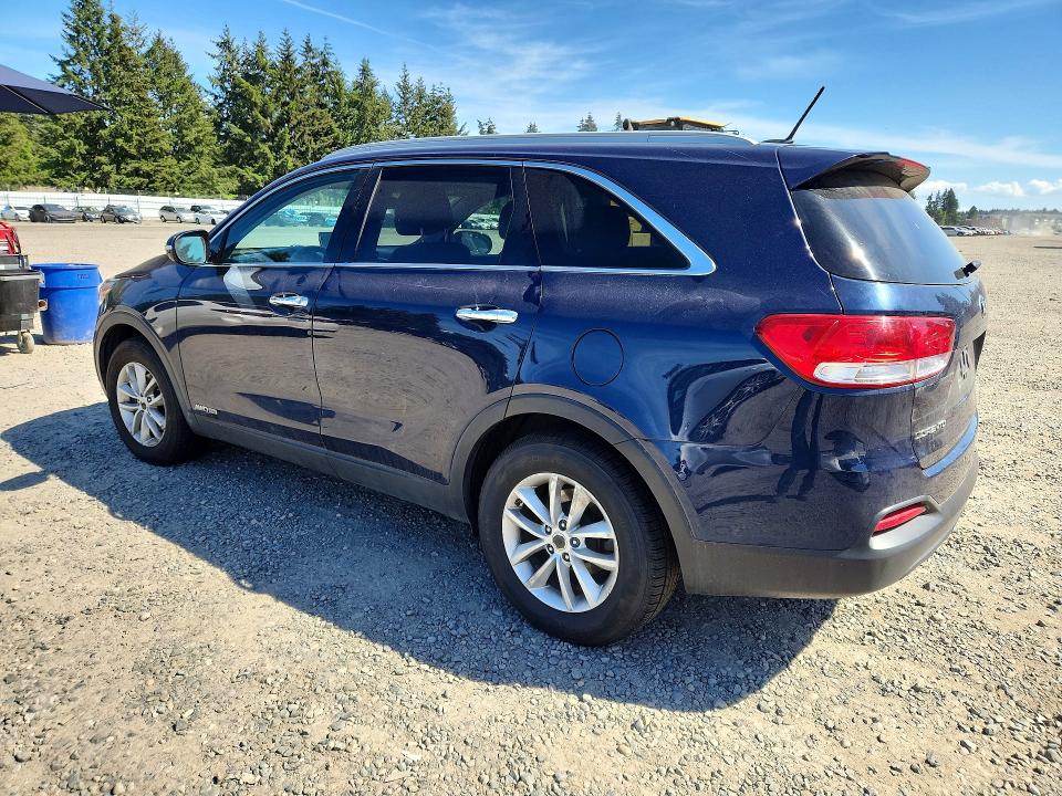 Auction sale of the 2017 Kia Sorento, vin: 5XYPGDA58HG335363, lot number: 54134226