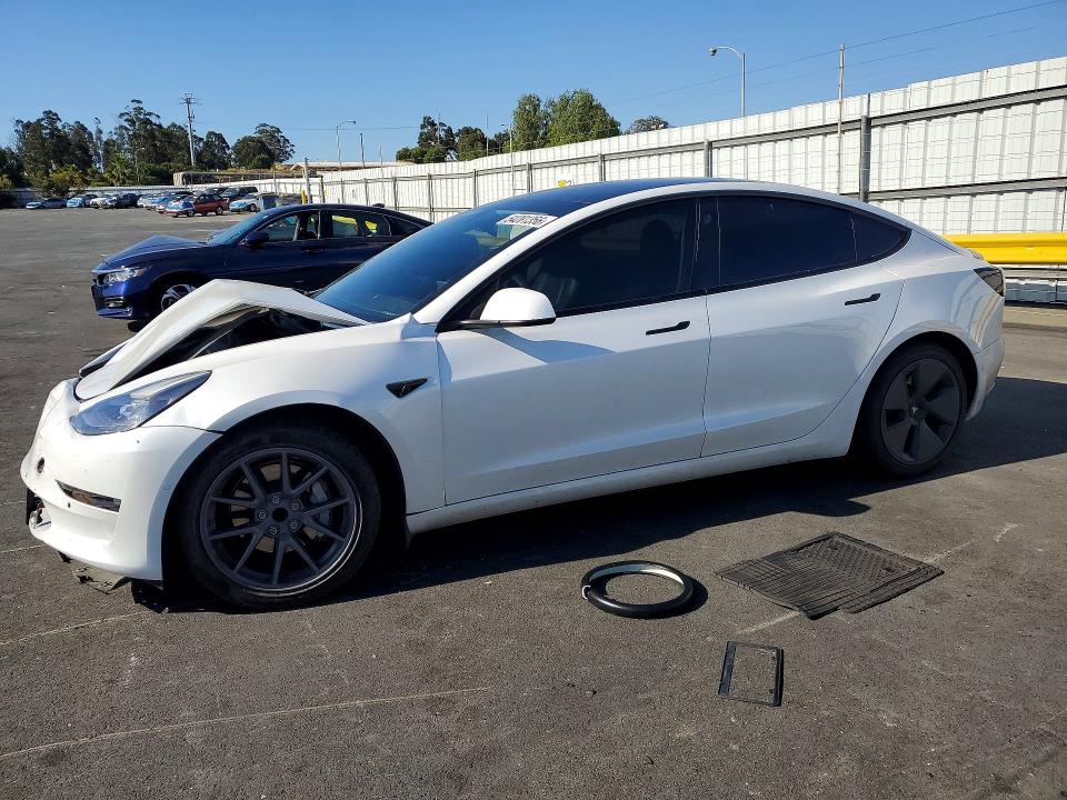 Продаж на аукціоні авто 2021 Tesla Model 3, vin: 5YJ3E1EA6MF930613, номер лоту: 54281356
