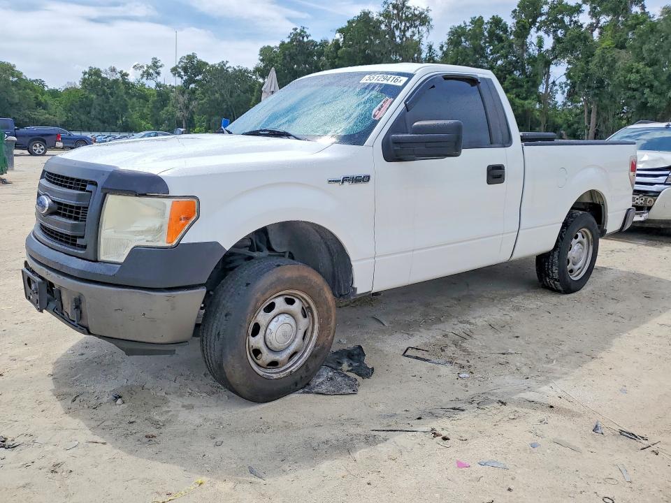 Продаж на аукціоні авто 2013 Ford F150, vin: 1FTMF1CM9DKE00458, номер лоту: 55129416