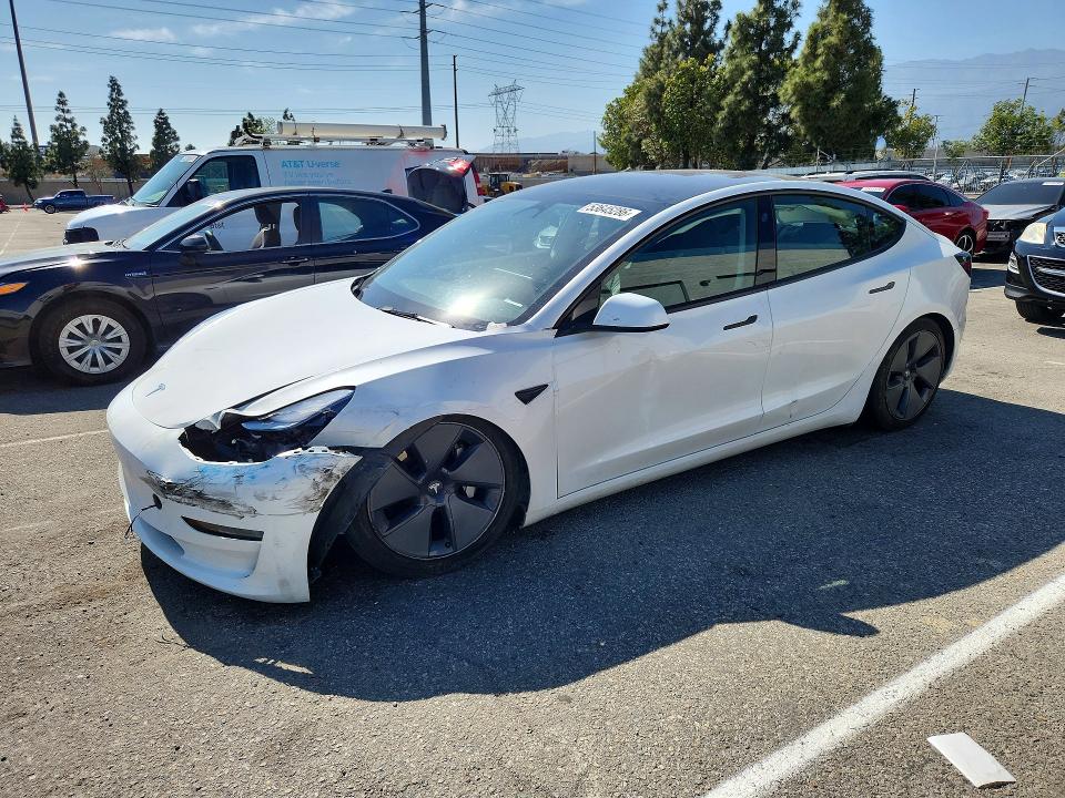 Продажа на аукционе авто 2023 Tesla Model 3, vin: 5YJ3E1EA4PF561836, номер лота: 53645286