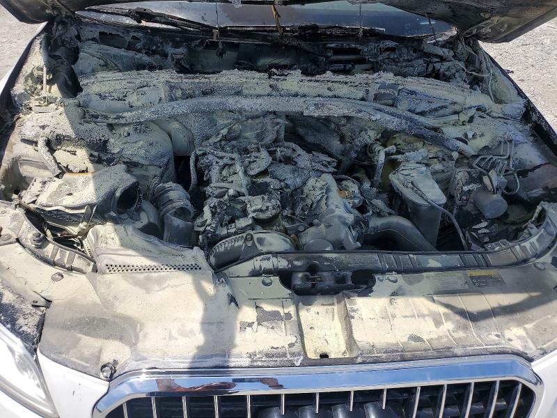 2013 Audi Q5 მანქანა იყიდება აუქციონზე, vin: WA1LFAFP5DA066379, აუქციონის ნომერი: 51033036