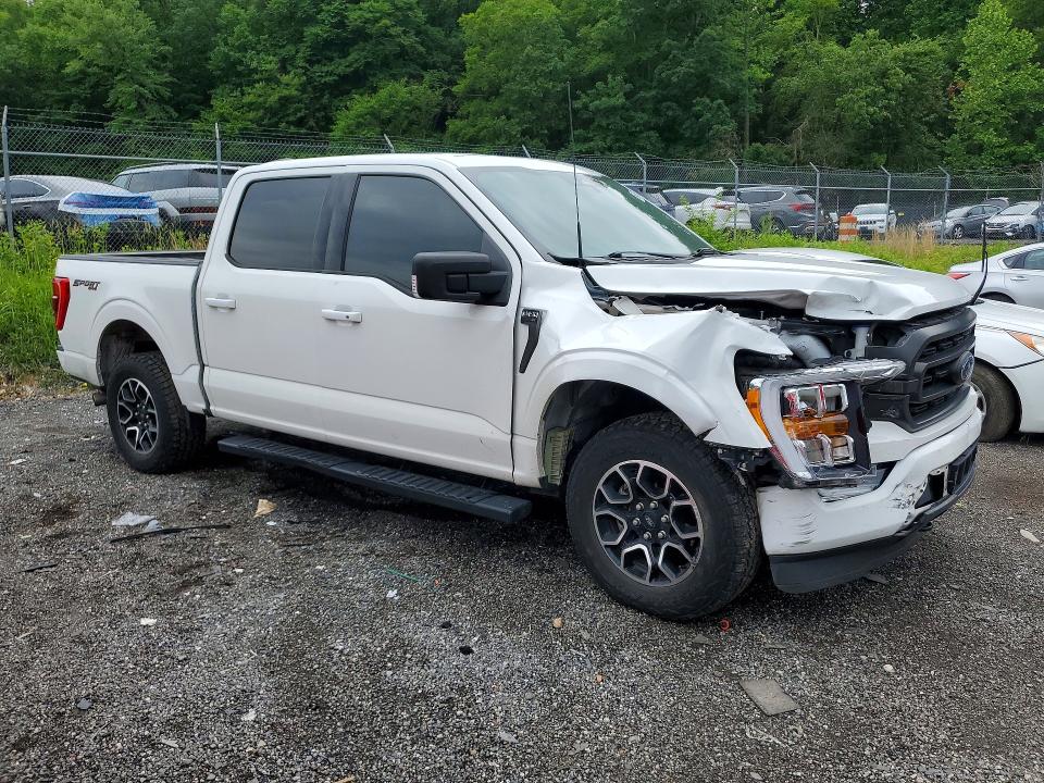 54757456 :رقم المزاد ، 1FTEW1EP9PFB11489 vin ، 2023 Ford F150 مزاد بيع