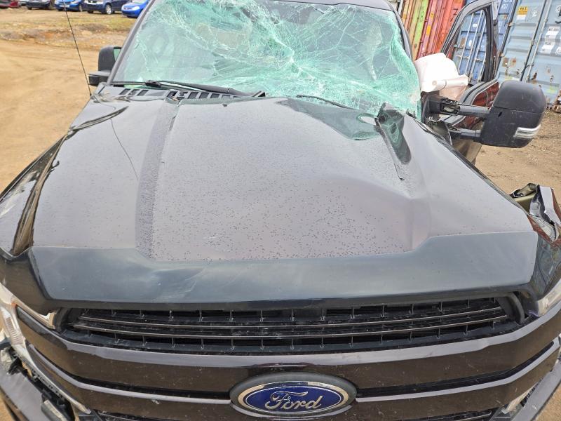 51432486 :رقم المزاد ، 1FTFW1E41KFA46432 vin ، 2019 Ford F150 مزاد بيع