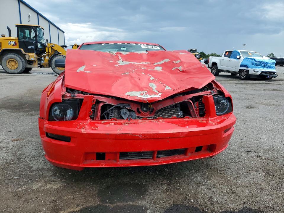 Продаж на аукціоні авто 2005 Ford Mustang, vin: 1ZVFT80NX55195382, номер лоту: 53635866