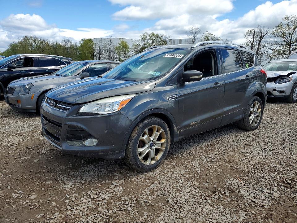 Auction sale of the 2015 Ford Escape, vin: 1FMCU9JX9FUA97567, lot number: 53880566
