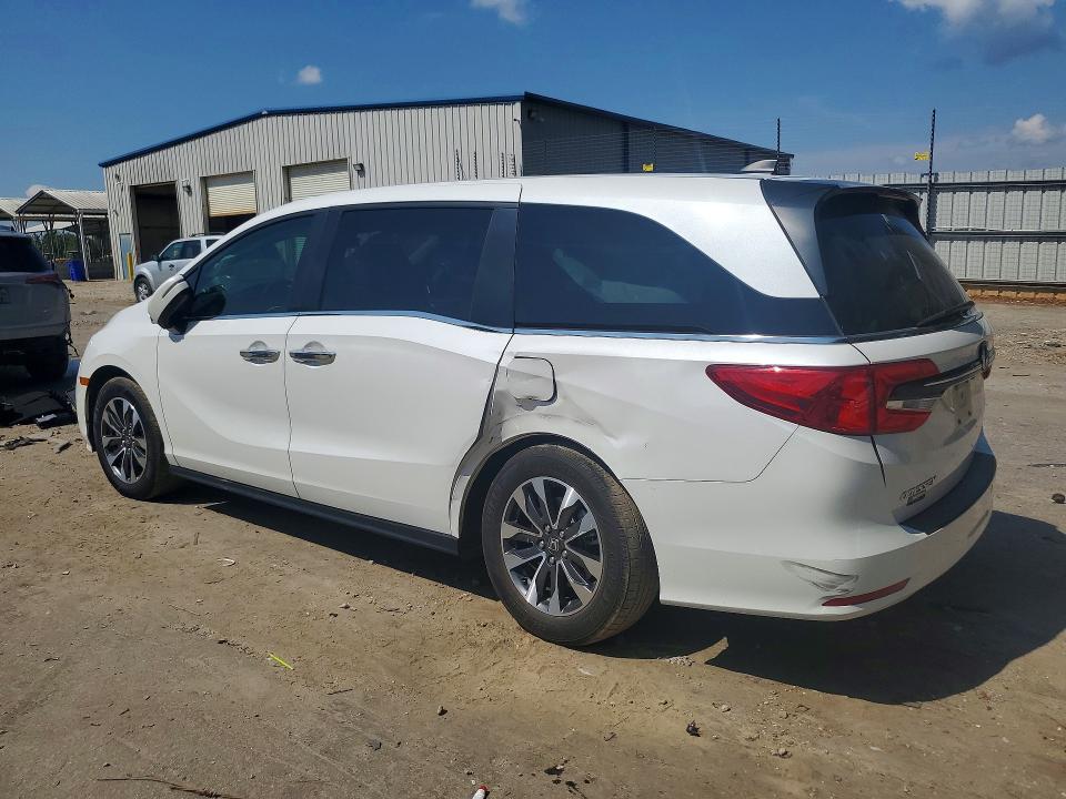Продаж на аукціоні авто 2023 Honda Odyssey, vin: 5FNRL6H6XPB029060, номер лоту: 54399996