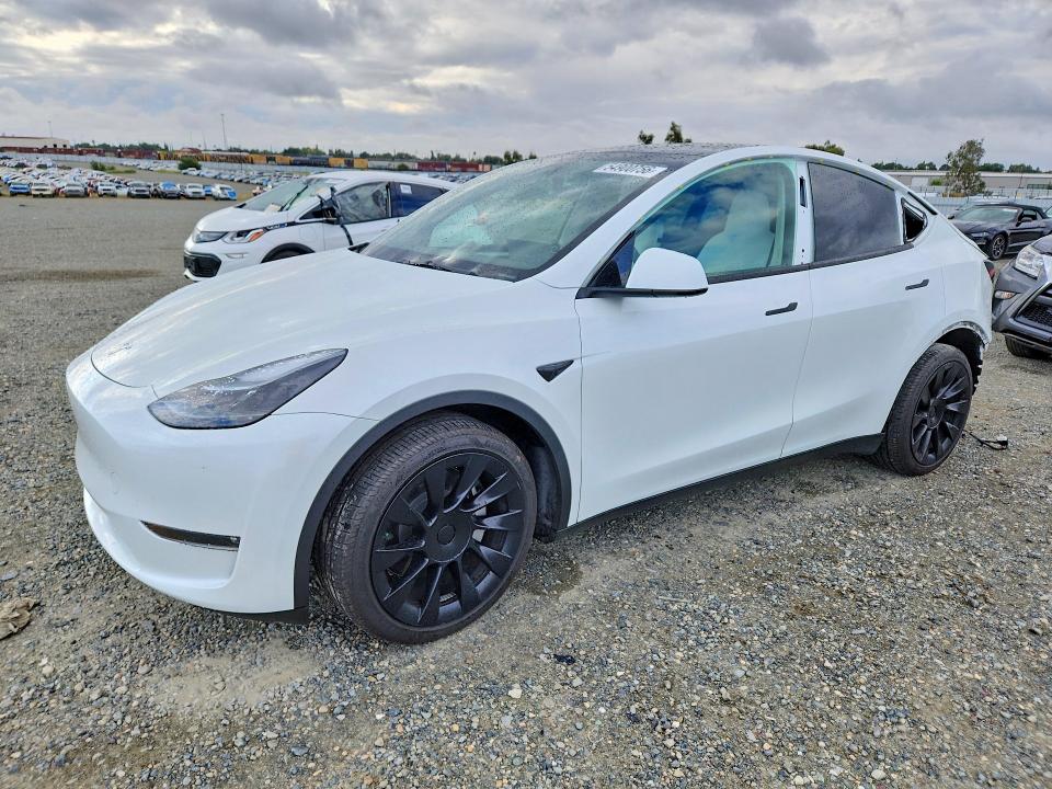 Aukcja sprzedaży 2023 Tesla Model Y, vin: 7SAYGDEE6PF632154, numer aukcji: 54900756