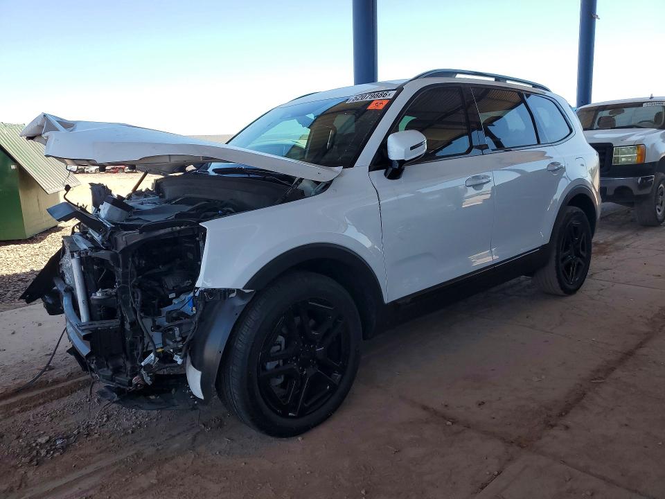 Продаж на аукціоні авто 2025 Kia Telluride, vin: 5XYP5DGC7SG637911, номер лоту: 52079886
