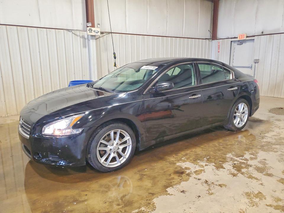 54423786 :رقم المزاد ، 1N4AA51E99C844693 vin ، 2009 Nissan Maxima مزاد بيع