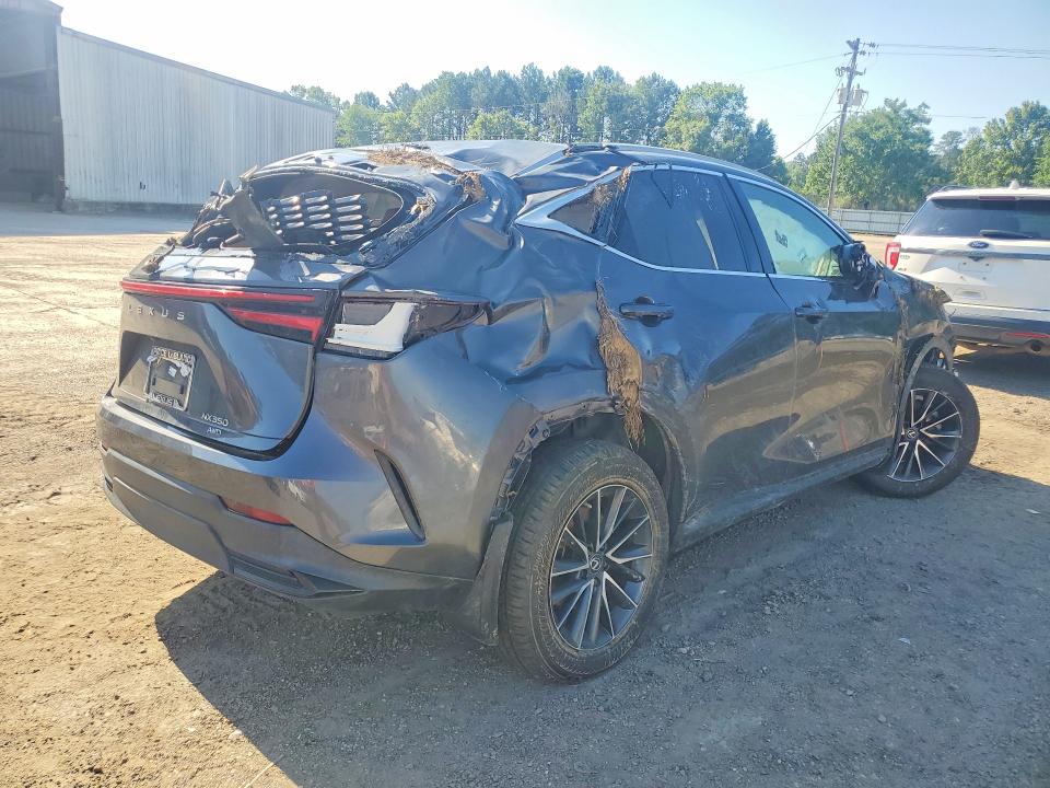 53140836 :رقم المزاد ، 2T2GGCEZXNC009896 vin ، 2022 Lexus Nx مزاد بيع
