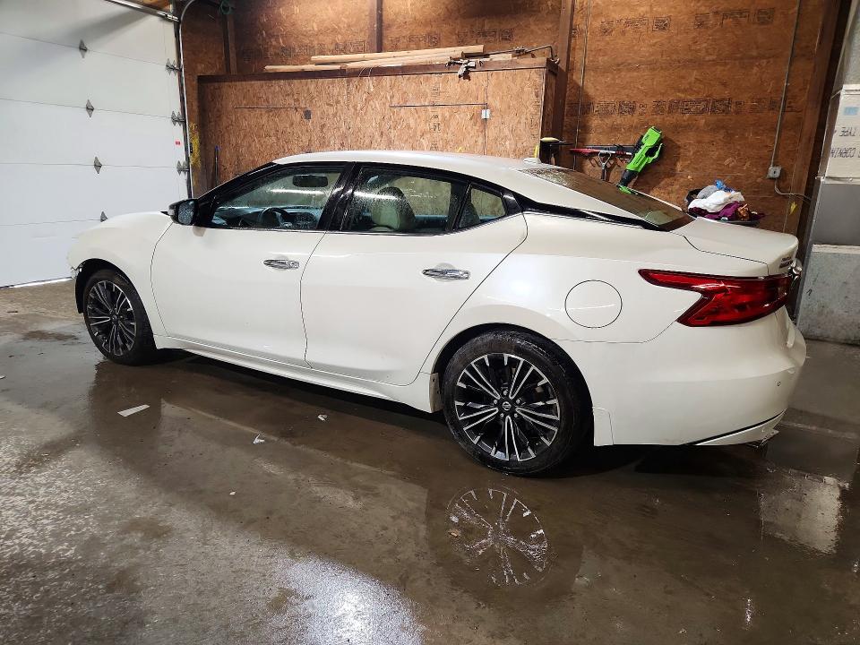 51692606 :رقم المزاد ، 1N4AA6AP0GC440220 vin ، 2016 Nissan Maxima مزاد بيع