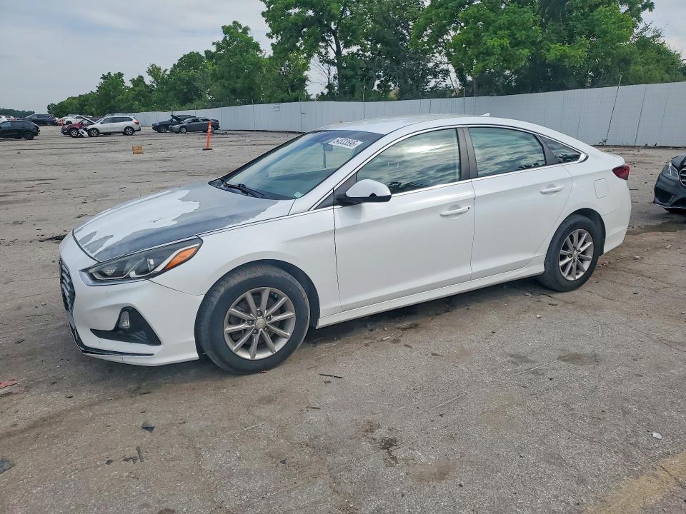 Продаж на аукціоні авто 2019 Hyundai Sonata, vin: 5NPE24AF5KH768914, номер лоту: 54533596