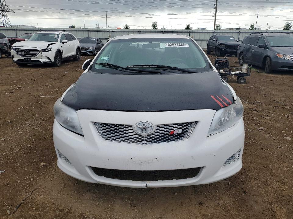52532556 :رقم المزاد ، 2T1BU4EEXAC337467 vin ، 2010 Toyota Corolla مزاد بيع