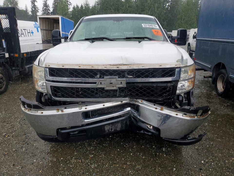 Продаж на аукціоні авто 2011 Chevrolet Silverado, vin: 1GB0CVCG4BF244087, номер лоту: 53104016
