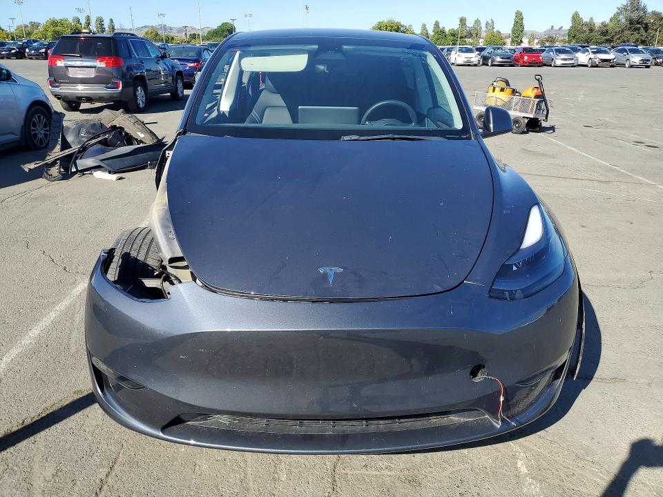 Продаж на аукціоні авто 2023 Tesla Model Y, vin: 7SAYGDEF4PF767139, номер лоту: 53590606
