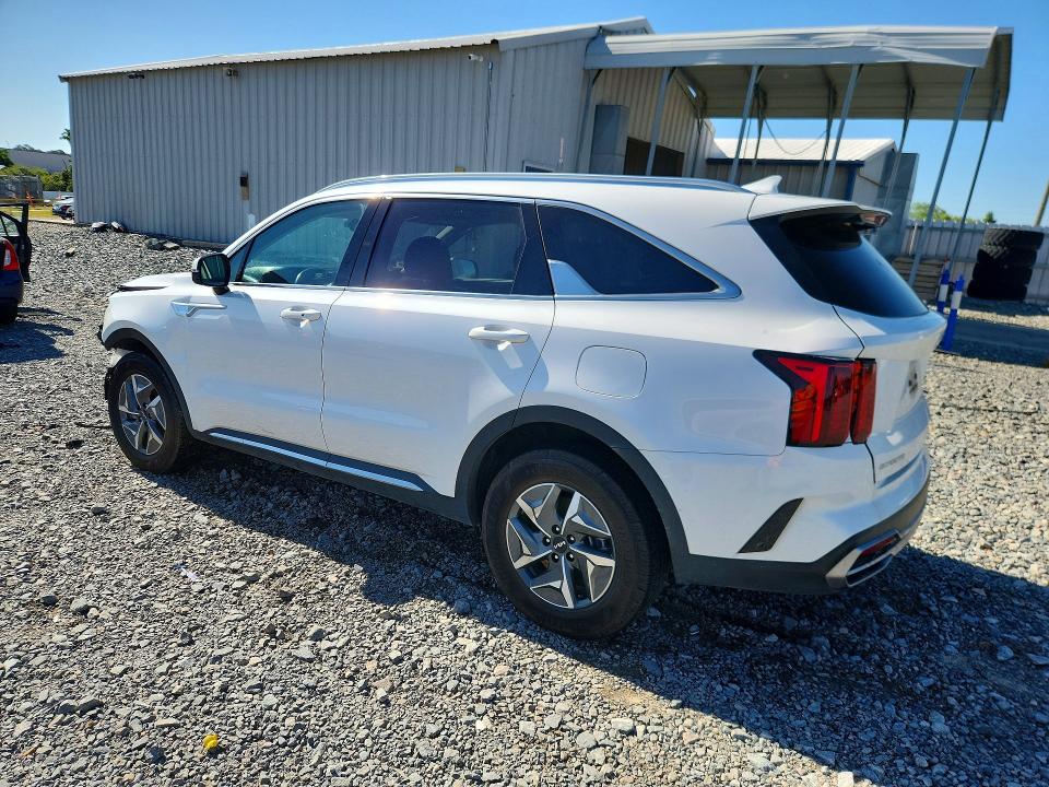 Продажа на аукционе авто 2023 Kia Sorento, vin: KNDRH4LG3P5159043, номер лота: 51958806
