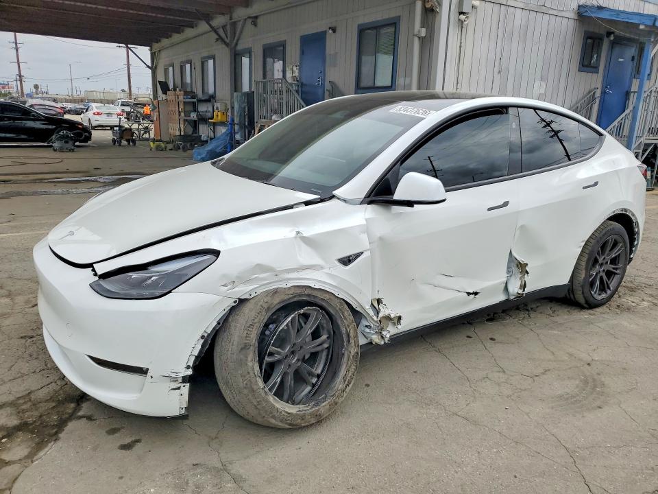 Продажа на аукционе авто 2024 Tesla Model Y, vin: 7SAYGDEE6RF198594, номер лота: 53437626
