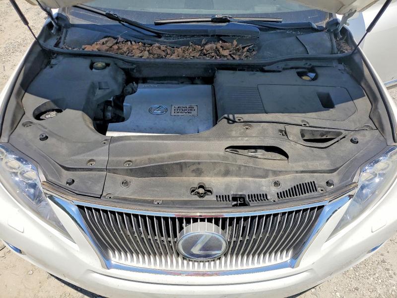53428546 :رقم المزاد ، JTJBC1BA7C2424924 vin ، 2012 Lexus Rx مزاد بيع