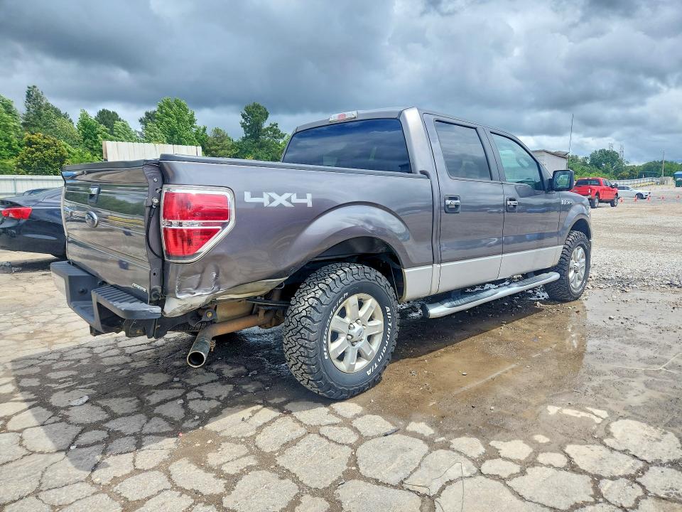 54095496 :رقم المزاد ، 1FTFW1EF2DFC32906 vin ، 2013 Ford F150 مزاد بيع