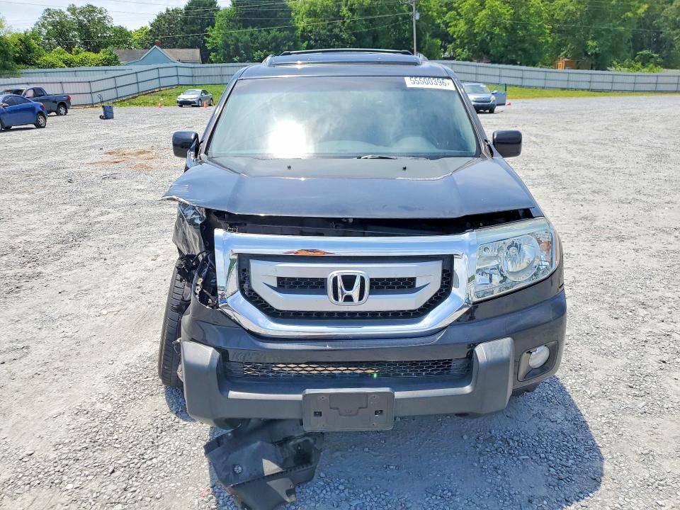 Продаж на аукціоні авто 2009 Honda Pilot, vin: 5FNYF38519B016273, номер лоту: 55500396
