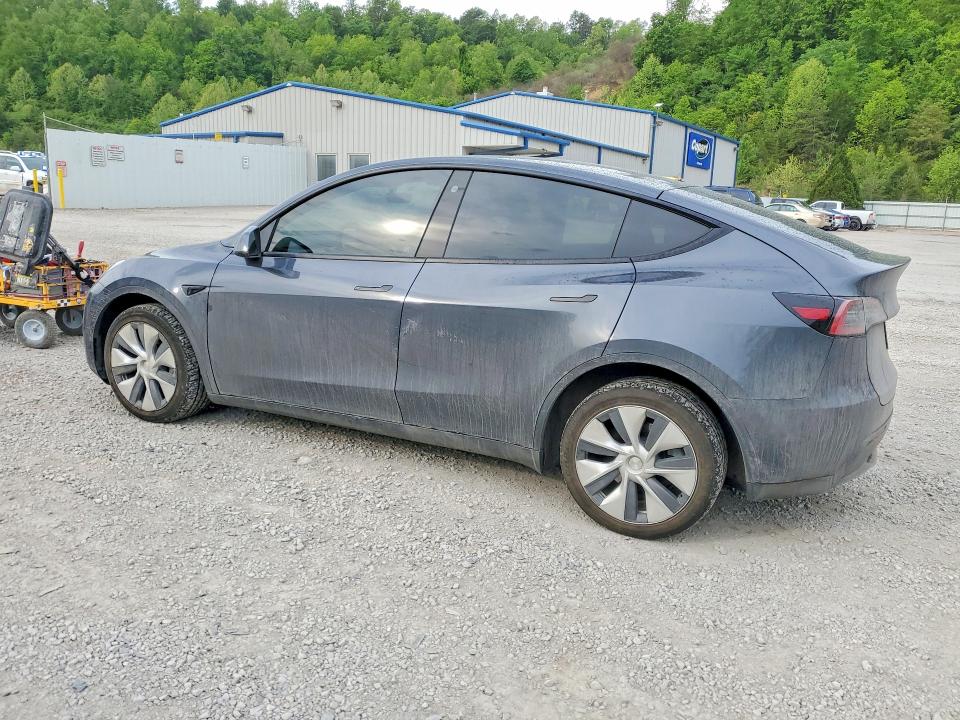 Продаж на аукціоні авто 2023 Tesla Model Y, vin: 7SAYGDEE1PF604858, номер лоту: 51694406